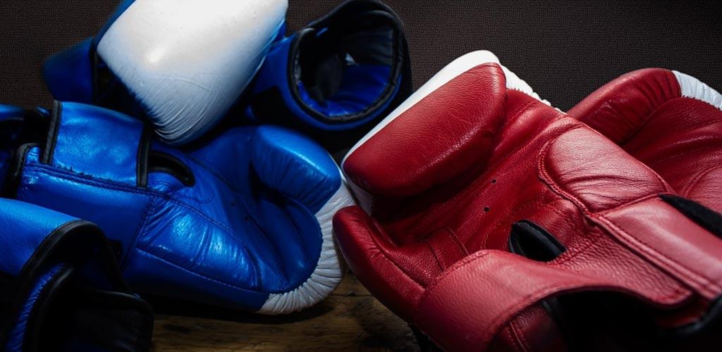 boxe materia dell'Accademia Teatrale Sofia Amendolea