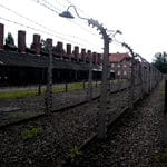 2008 allievi accademia sofia amendolea a Auschwitz