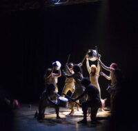 Fattoria_Animali_Live_20