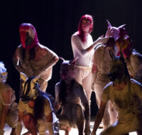 Fattoria_Animali_Live_6