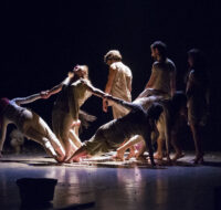 Fattoria_Animali_Live_79