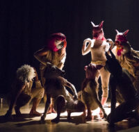 Fattoria_Animali_Live_9
